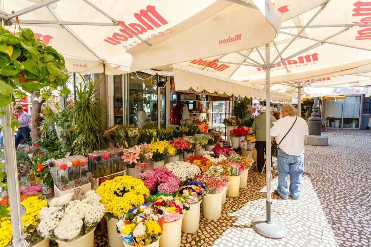 Casa Patio Del Mentidero Lejlighed Cádiz Eksteriør billede